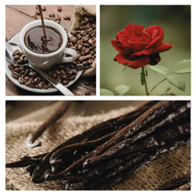 Load image into Gallery viewer, Be Chic Simmer Pot Mix, Natural Hazelnut Rose Aroma