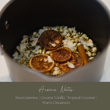 Load image into Gallery viewer, Be Grounded Simmer Pot Mix, Stovetop Potpourri
