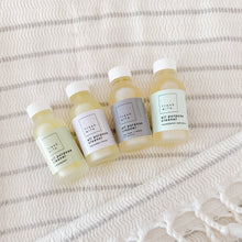 Load image into Gallery viewer, Tea Tree &amp; Clove All Purpose Cleaner Concentrate
