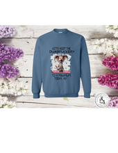 Load image into Gallery viewer, FUNNY SAYINGS CREWNECK OR HOODIE
