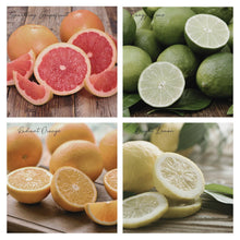 Load image into Gallery viewer, Be Balmy Simmer Pot Mix, Natural Citrus Grove Aroma – Jar Edition
