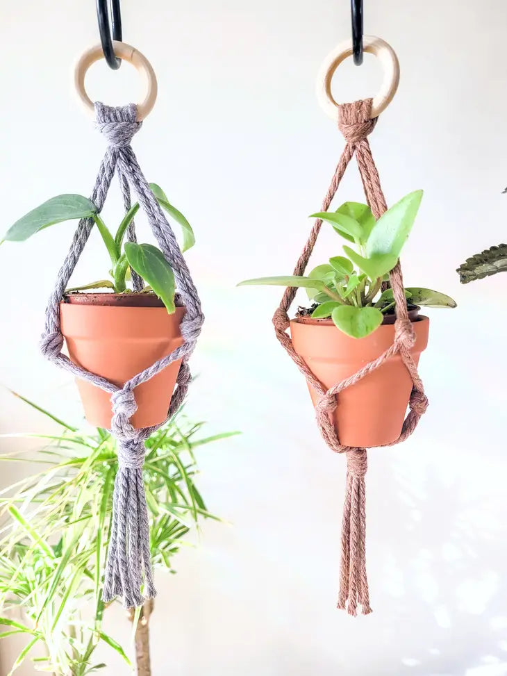 car macrame plant hanger Caught in the Knott- Mini Macrame Plant Hanger